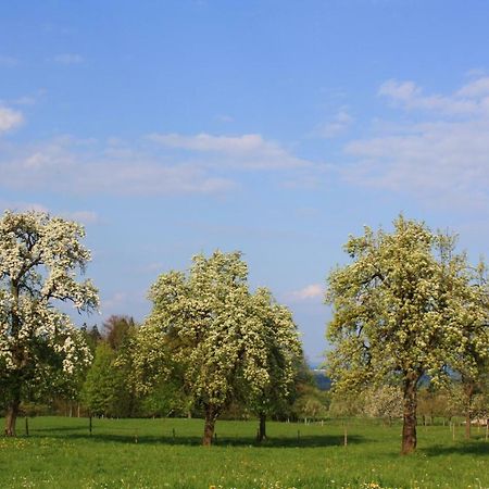 Appartements Apfelbluete Bad Feilnbach Esterno foto